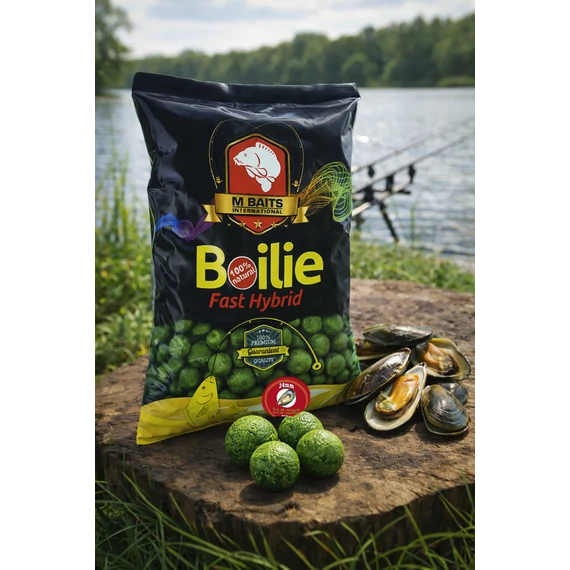 Fast Hybrid Boilie 24mm 800g G.L.M. Kagyló