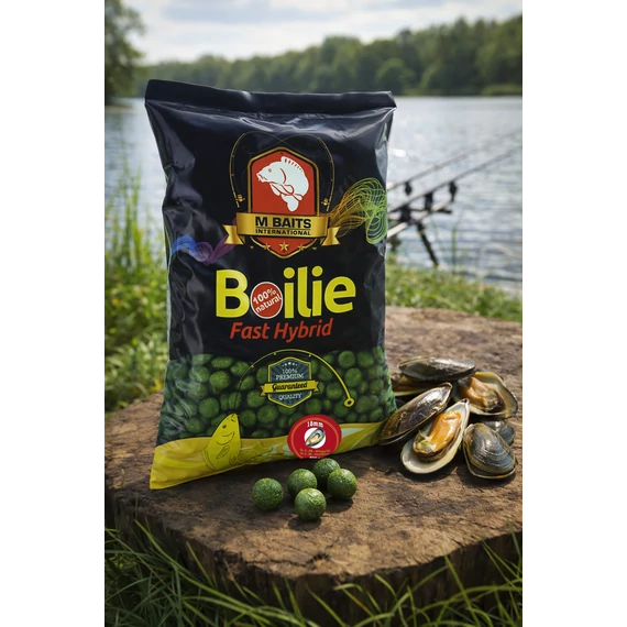 Fast Hybrid Boilie 18mm 800g G.L.M. Kagyló