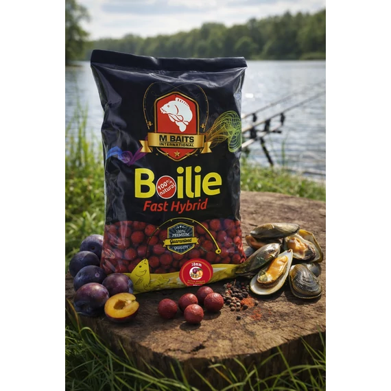 Fast Hybrid Boilie 18mm 800g Szilva kagyló