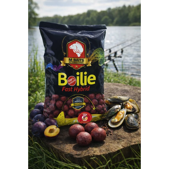 Fast Hybrid Boilie 24mm 800g Szilva Kagyló